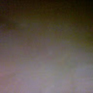 Meet your Posher, Rose